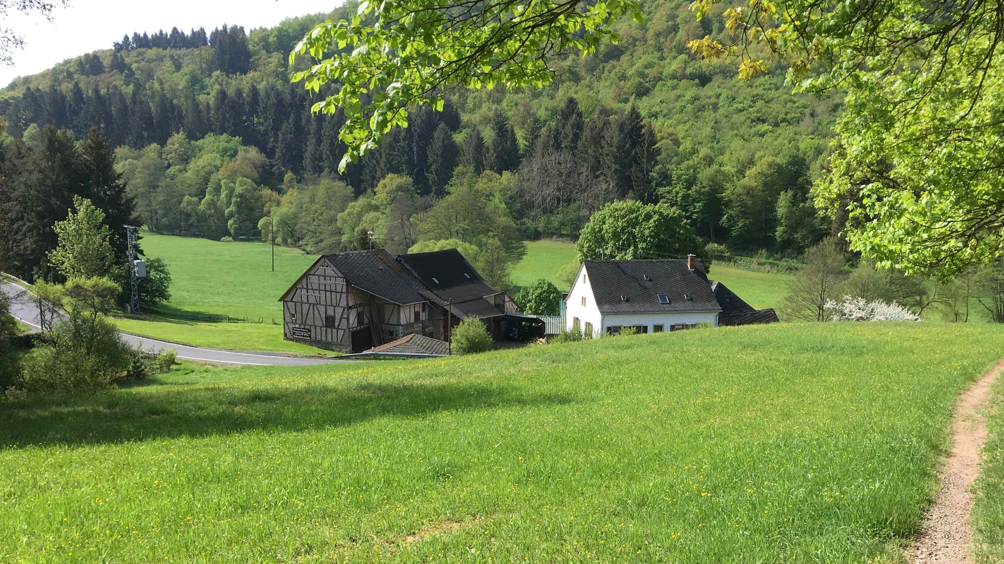 Ferienhaus im Obstgarten & Muehle Heimweiler Ferienhaus Obstgarten